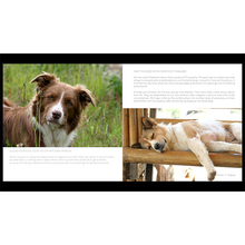 Load image into Gallery viewer, The Gift of Extra Time E-book