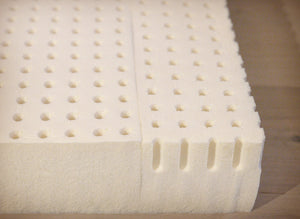 Dr. Dobias Healthy Dog Bed