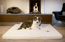 Load image into Gallery viewer, Dr. Dobias Healthy Dog Bed
